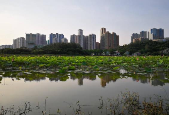 澳門嘉模堂區(qū)十大旅游景點排行榜 嘉模堂區(qū)有什么好玩的地方