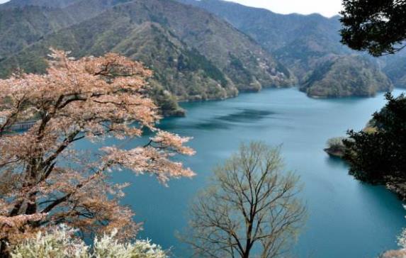 日本東京都十大旅游景點(diǎn)排行榜 東京都有什么好玩的地方