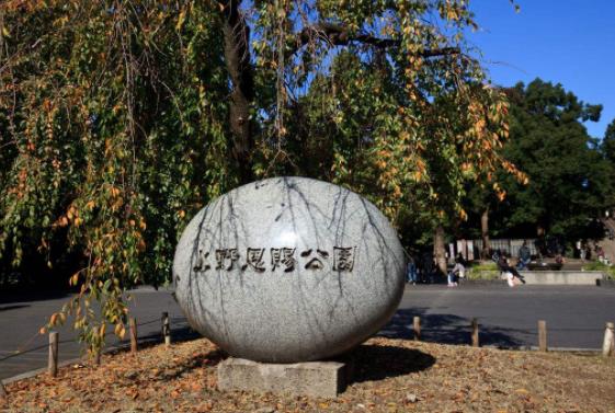 日本東京都十大旅游景點(diǎn)排行榜 東京都有什么好玩的地方