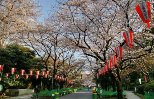 日本十大旅游景點排行榜 日本有什么好玩的地方