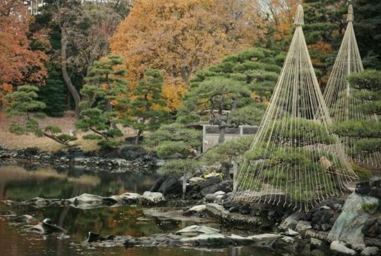 日本東京都十大旅游景點(diǎn)排行榜 東京都有什么好玩的地方