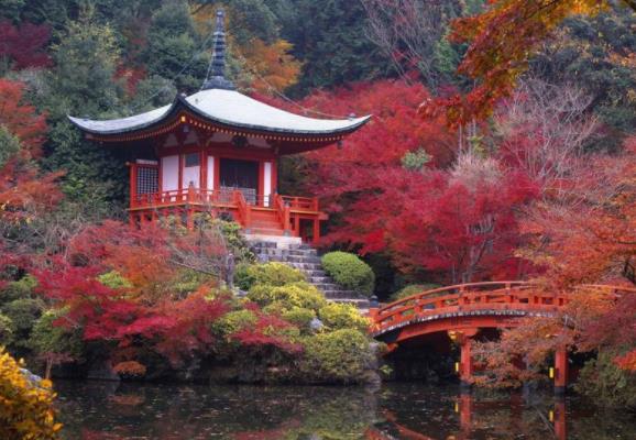 日本京都府十大旅游景點排行榜 京都府有什么好玩的地方