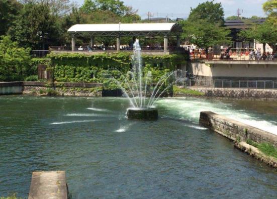 日本京都府十大旅游景點排行榜 京都府有什么好玩的地方