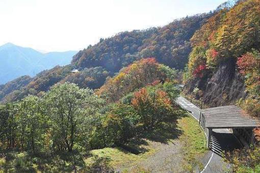 日本栃木縣十大旅游景點(diǎn)排行榜 栃木縣有什么好玩的地方