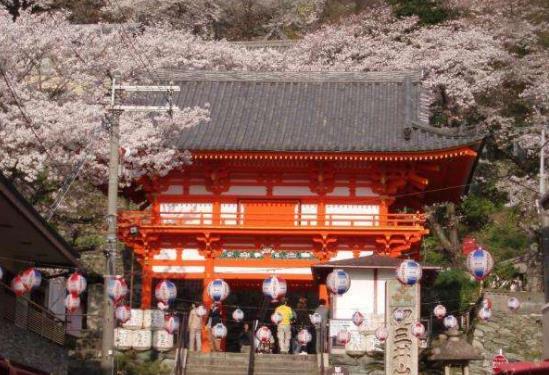 日本和歌山縣十大旅游景點排行榜 和歌山縣有什么好玩的地方