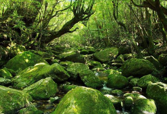 日本鹿兒島縣四大旅游景點排行榜 鹿兒島縣有什么好玩的地方