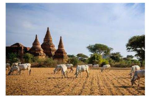 緬甸十大旅游景點(diǎn)排行榜 緬甸旅游有什么好玩的地方