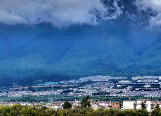 中國(guó)八大最佳魅力城市排行 洛陽(yáng)牡丹根植于隋、盛于唐、甲天下于宋