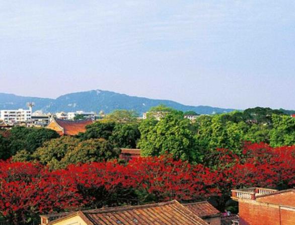 中國(guó)八大最佳魅力城市排行 洛陽(yáng)牡丹根植于隋、盛于唐、甲天下于宋
