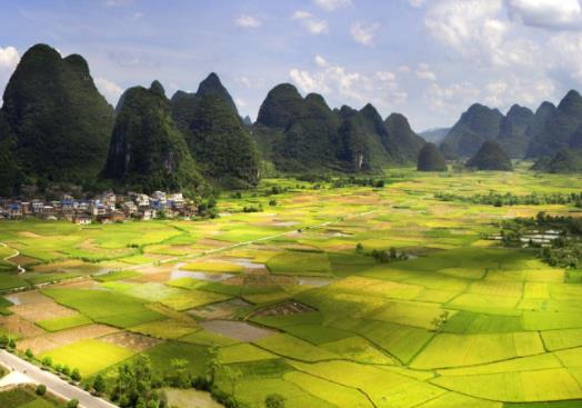 中國(guó)八大最佳魅力城市排行 洛陽(yáng)牡丹根植于隋、盛于唐、甲天下于宋