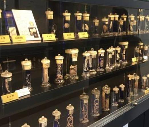 世界10大最嚇人博物館旅游排行 口技木偶帶我們回到過(guò)去的歌舞時(shí)代