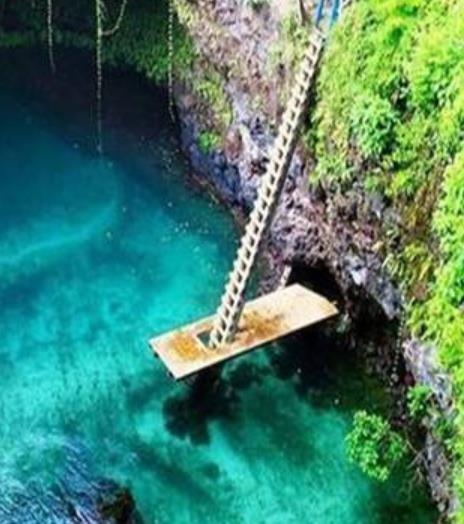 真實(shí)存在的世界十大美景旅游景點(diǎn)排行 紫藤隧道格外美麗與神秘