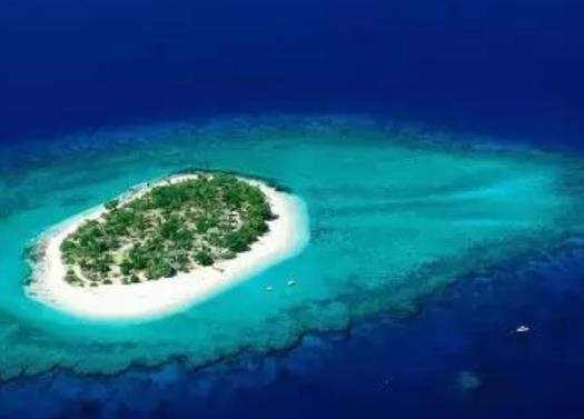 世界十大壯觀人工魚礁旅游景點(diǎn)排行 沖之鳥礁是一處非常成功的人工魚礁
