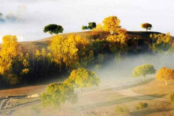 中國(guó)十大勾魂美景旅游景點(diǎn)排行 油菜花面積達(dá)四十萬(wàn)畝左右