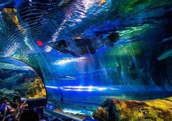 世界十大最酷海底旅館旅游景點(diǎn)排行 奔巴島位于桑給巴爾群島