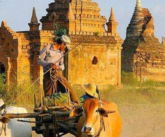 十大最受歡迎的熱氣球旅行地旅游景點排行 雅拉河谷是世界級釀酒廠