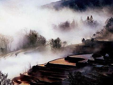 中國十大勾魂美景旅游景點排行 油菜花色塊艷麗、極富裝飾性