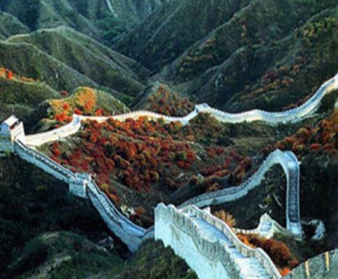 中國十大勾魂美景旅游景點排行 油菜花色塊艷麗、極富裝飾性