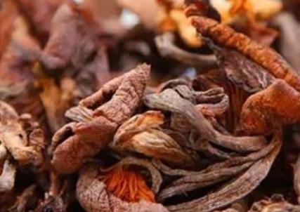 黑龍江牡丹江土特產(chǎn)品排行 榛蘑是真正的綠色純天然產(chǎn)品