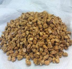 遼寧阜新土特產(chǎn)品排行 大扁杏果面黃色陽面略有紅暈