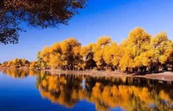 盤點(diǎn)假期最去不得的景區(qū) 麗江找床睡覺不容易