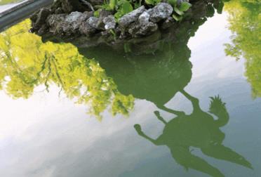 全球“最胖”國(guó)家排行 美屬薩摩亞群島改變了飲食習(xí)慣的家庭成員