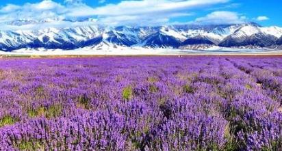 世界最美旅游景點(diǎn) 大溪地這里四季溫暖如春物產(chǎn)豐富