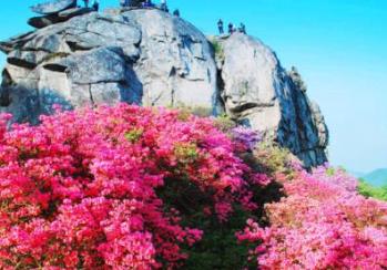 五一十大景點(diǎn) 上海迪士尼樂園是中國(guó)內(nèi)地首座迪士尼主題樂園