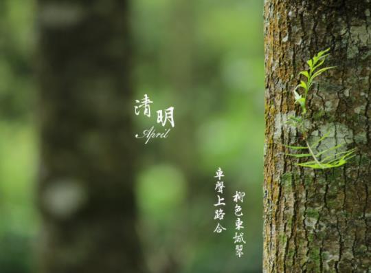 2022年清明節(jié)天津限號(hào)嗎?清明節(jié)去天津掃墓要準(zhǔn)備什么東西