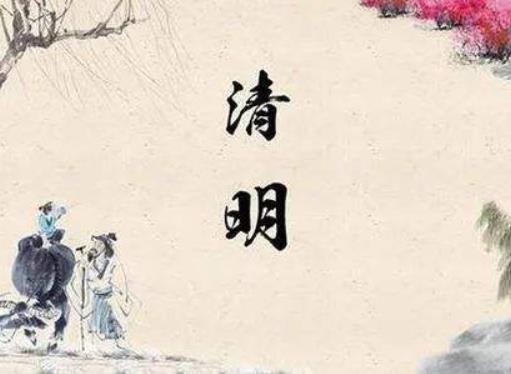 清明節(jié)青島天氣怎么樣?清明節(jié)青島櫻花去哪里看