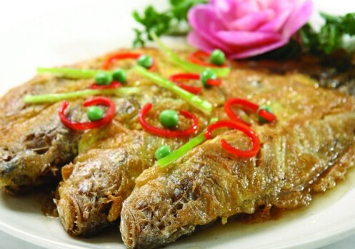 黃花魚的營養(yǎng)價值與功效-黃花魚的介紹