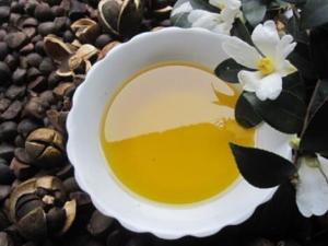 茶油的功效與作用-茶油怎么吃？