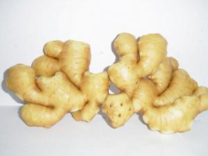 生姜去痘印有效嗎？生姜的功效與作用