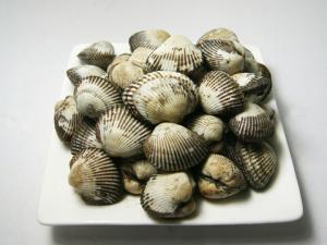 毛蚶怎么做好吃？毛蚶的簡(jiǎn)介-毛蚶的做法
