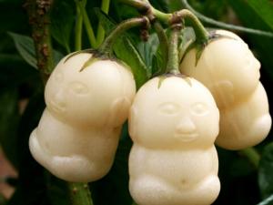 人參果怎么吃最養(yǎng)生？人參果的功效和作用