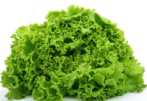生菜的營養(yǎng)價值