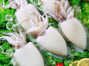 吃墨魚有什么好處？墨魚的營養(yǎng)價值