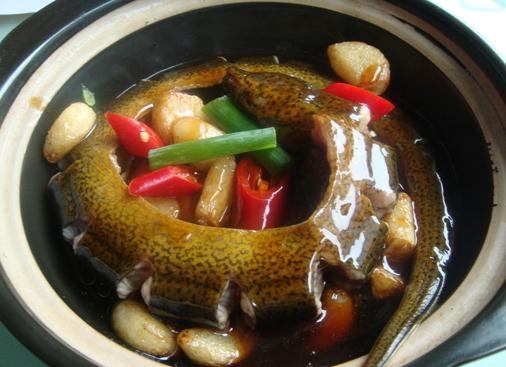 黃鱔的營養(yǎng)價值-吃鱔魚的好處