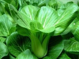 青菜的營養(yǎng)價(jià)值、功效與作用、吃青菜的好處