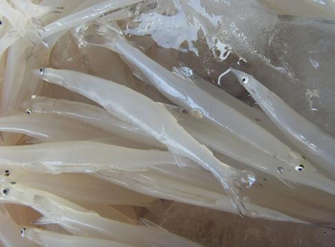 銀魚的營(yíng)養(yǎng)價(jià)值-銀魚怎么吃最好