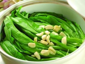 油麥菜的營養(yǎng)價值-油麥菜的食用禁忌