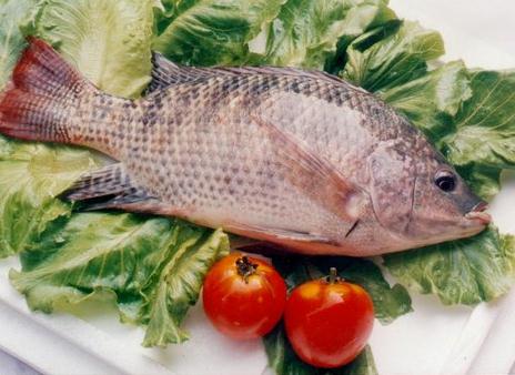 吃魚肉的營養(yǎng)價值高:吃帶魚可保持皮膚濕潤彈性