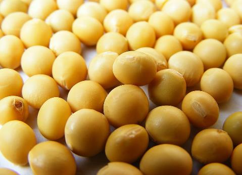 吃黃豆有什么好處?黃豆有什么營(yíng)養(yǎng)價(jià)值