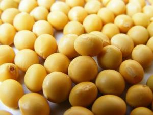 吃黃豆有什么好處？黃豆有什么營養(yǎng)價值