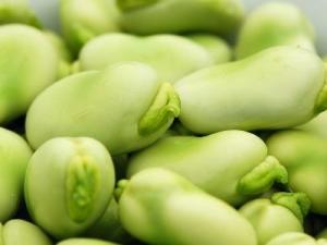吃胡豆有什么好處？胡豆的功效與作用