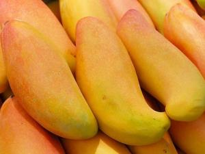 芒果的營養(yǎng)價(jià)值、功效與作用、食用禁忌