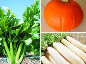 什么食物維生素a多？維生素a的作用及功能