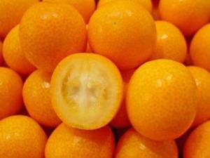 金桔的營(yíng)養(yǎng)價(jià)值、功效與作用、食用禁忌