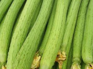 吃絲瓜好嗎？絲瓜的營養(yǎng)價值、功效與作用