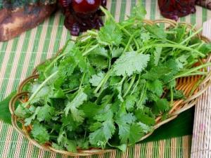 香菜怎么吃？香菜的營養(yǎng)價值、功效與作用